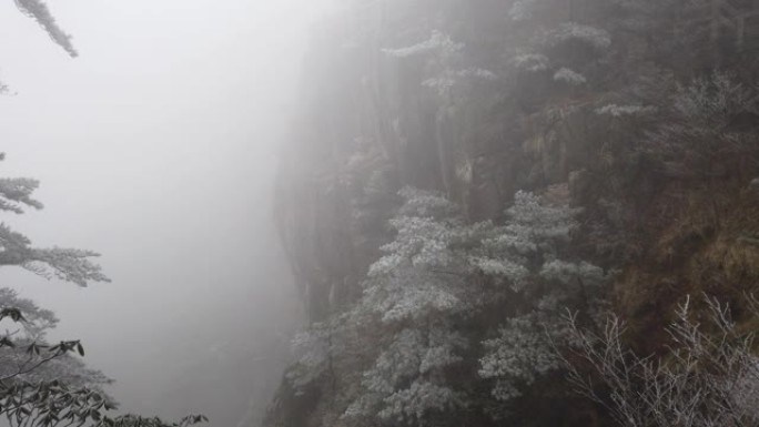 4k黄山联合国教科文组织世界遗产国家公园冬季与雪和片状松树，黄山，中国