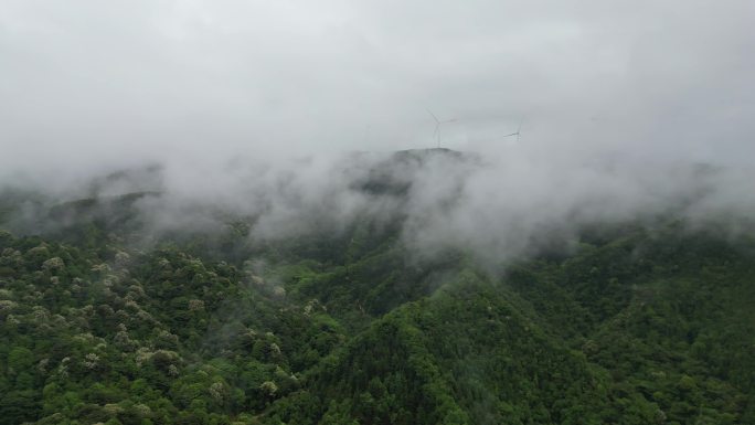 深山云雾缭绕   雨中航拍俯瞰大地山脉