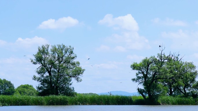 生态湿地