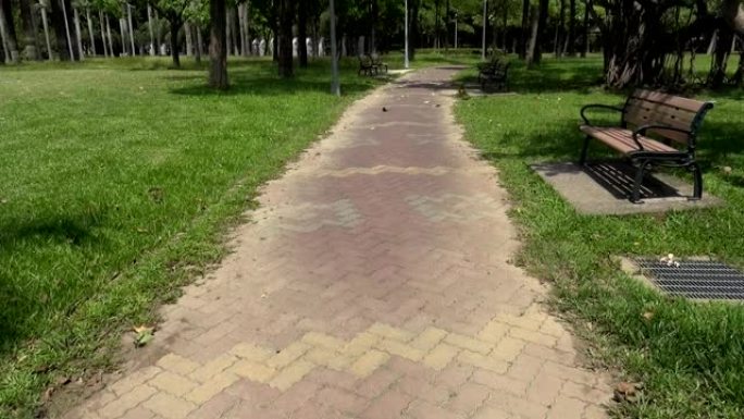 公园里的小路。自然风光。道路的材料是黄泥。