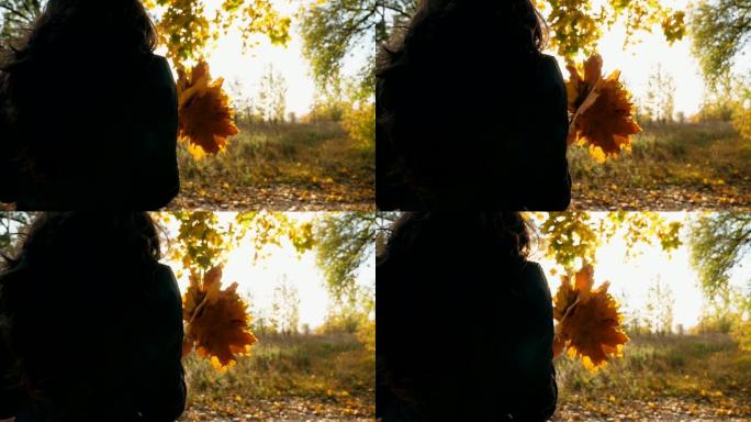 面目全非的女人站在秋天的森林里，手里拿着一束黄色的枫叶。享受微风和多彩的自然景观的女孩。背景阳光普照
