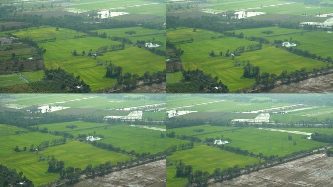 鸟瞰图: 泰国空气污染下水稻绿地的全景自然景观