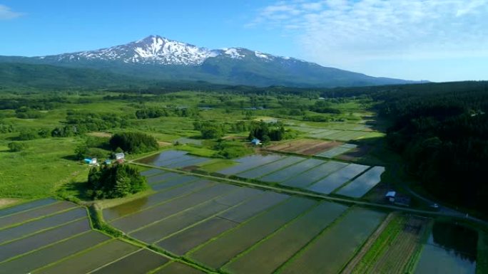 乡村风光