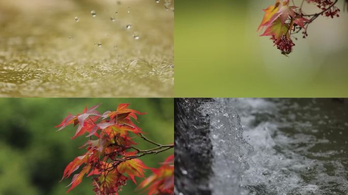 泉水风景流水