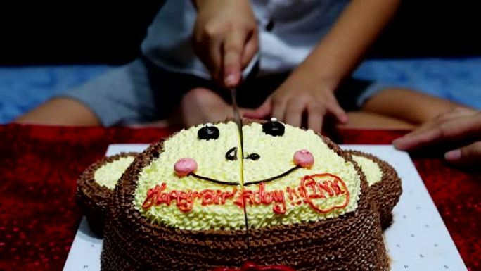 孩子在生日聚会上开心地切蛋糕