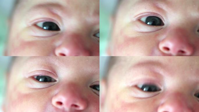 新生婴儿第一天的生活面孔