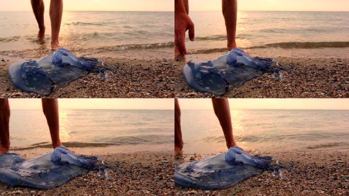 一名患有静脉曲张的男子的腿在浅海中探索巨大的、蓝色的、死亡的水母