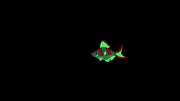 小型红绿色水族馆鱼阿尔法哑光