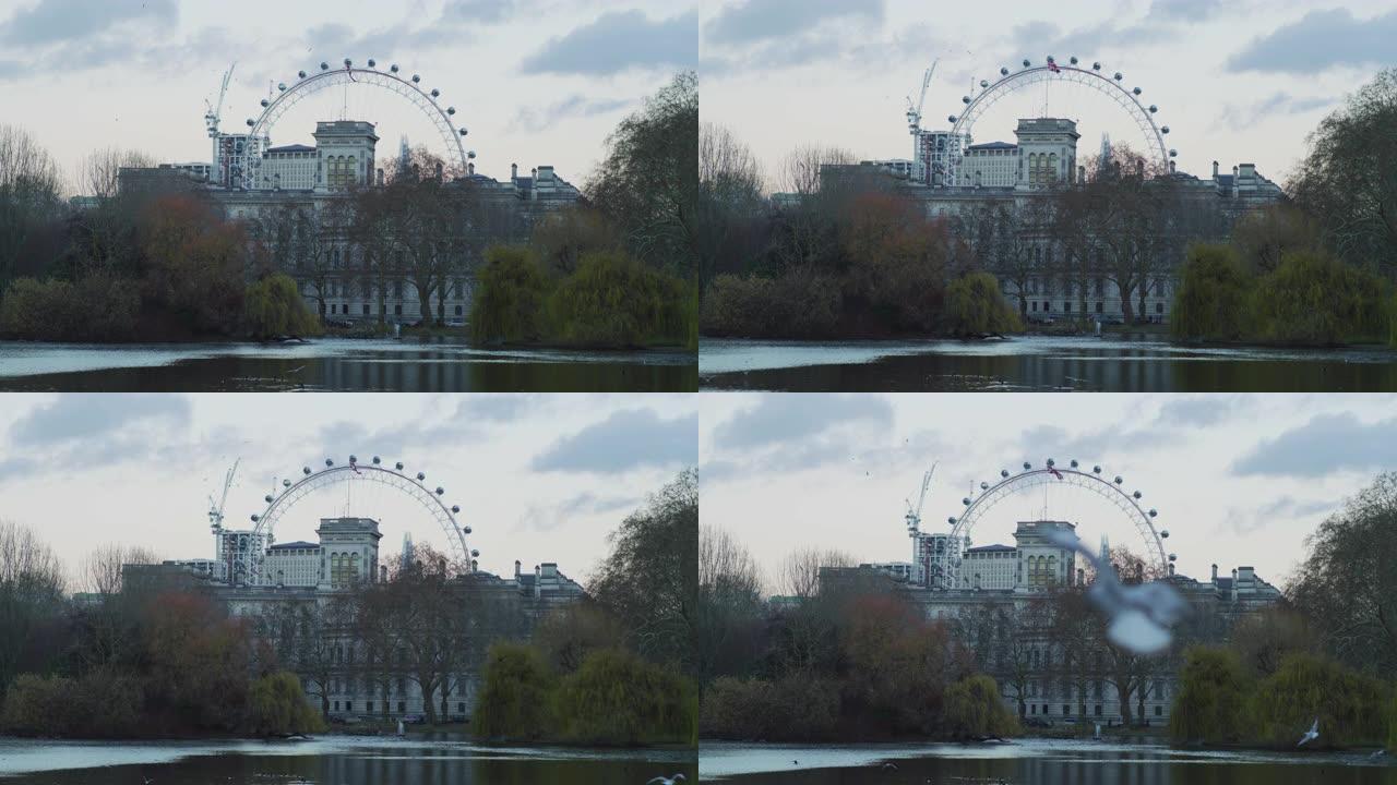 从圣詹姆斯公园看到的伦敦眼