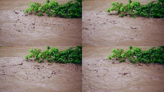雨后洪水或飓风。肮脏的棕色强水流入河中。特写镜头