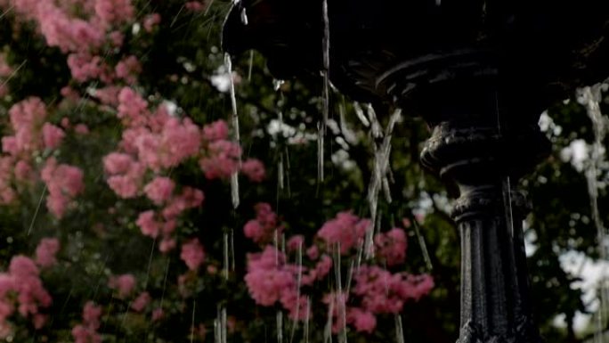 背景为绉纱桃金娘的黑铁喷泉向上倾斜