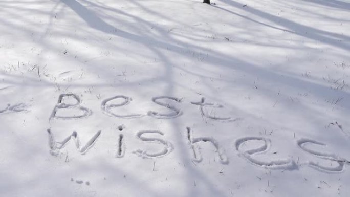 铭文在雪地上致以最良好的祝愿。冬天拍摄。