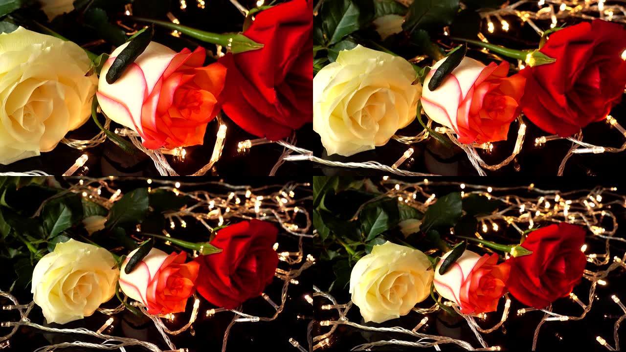 玫瑰在明亮的花环的背景下。