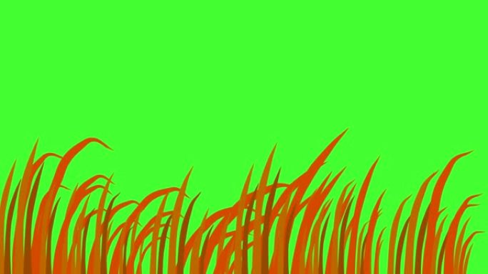草叶，随风摇曳，绿屏背景，3d动画