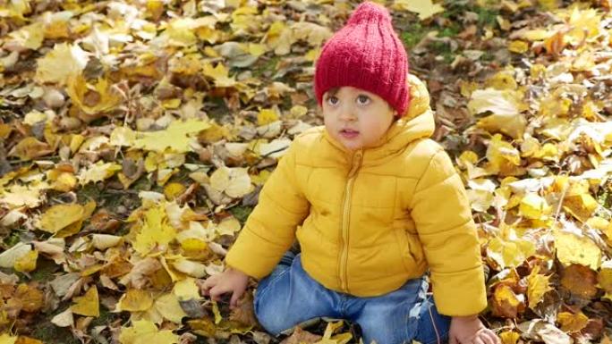 快乐的小男孩在秋天的公园里玩耍