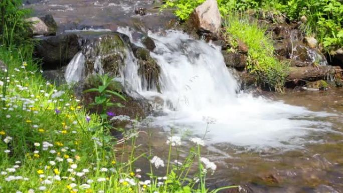 山溪的快速流动小溪流水溪水