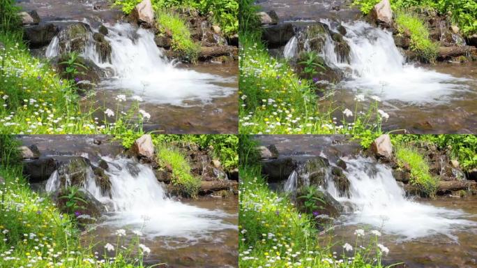 山溪的快速流动小溪流水溪水