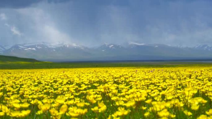 吉尔吉斯斯坦的天山山脉和宋湖