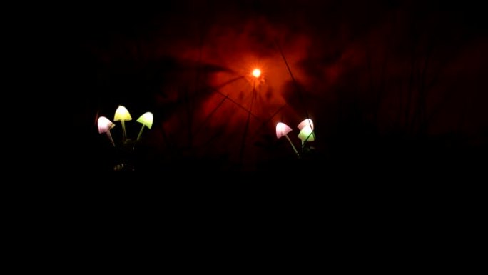 神秘黑暗森林中的幻想发光蘑菇特写。美丽的魔菌或三个灵魂迷失在阿凡达森林的微距镜头。雾背景上的仙女灯。