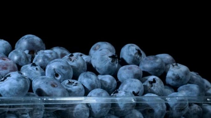 黑色背景上一次性塑料食品包中的新鲜蓝莓。特写，相机旋转360度。沼泽越橘、沼泽蓝莓、北方越橘或西方蓝