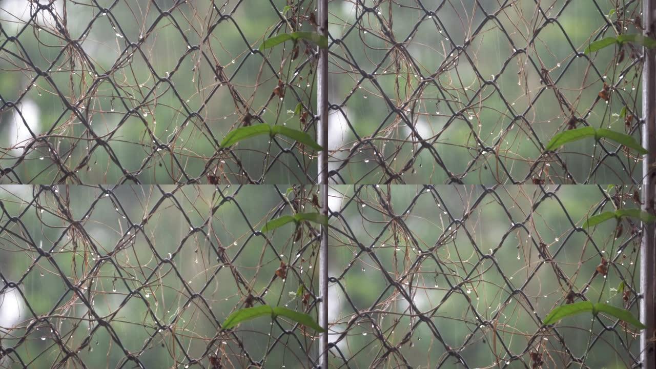 雨中铁链围栏空镜头雨天透过铁窗隔离