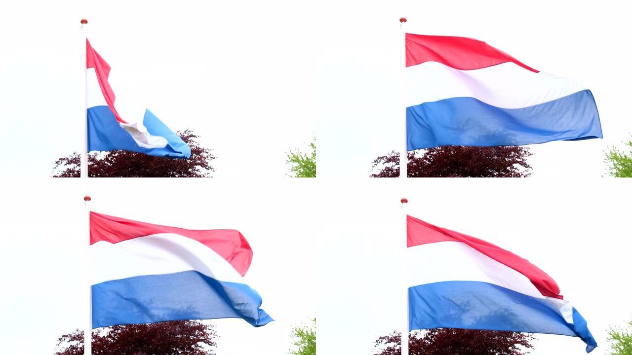 荷兰国旗，风中红，白，蓝三种颜色