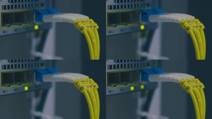 特写。模块端口上的光缆。用于数据中心机房高速网络的网络千兆交换机。