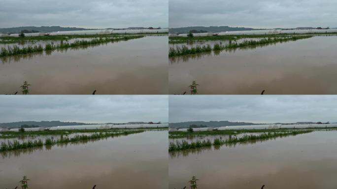 农村农场的洪水，以农舍为特色，在干涸的被洪水淹没的土地上