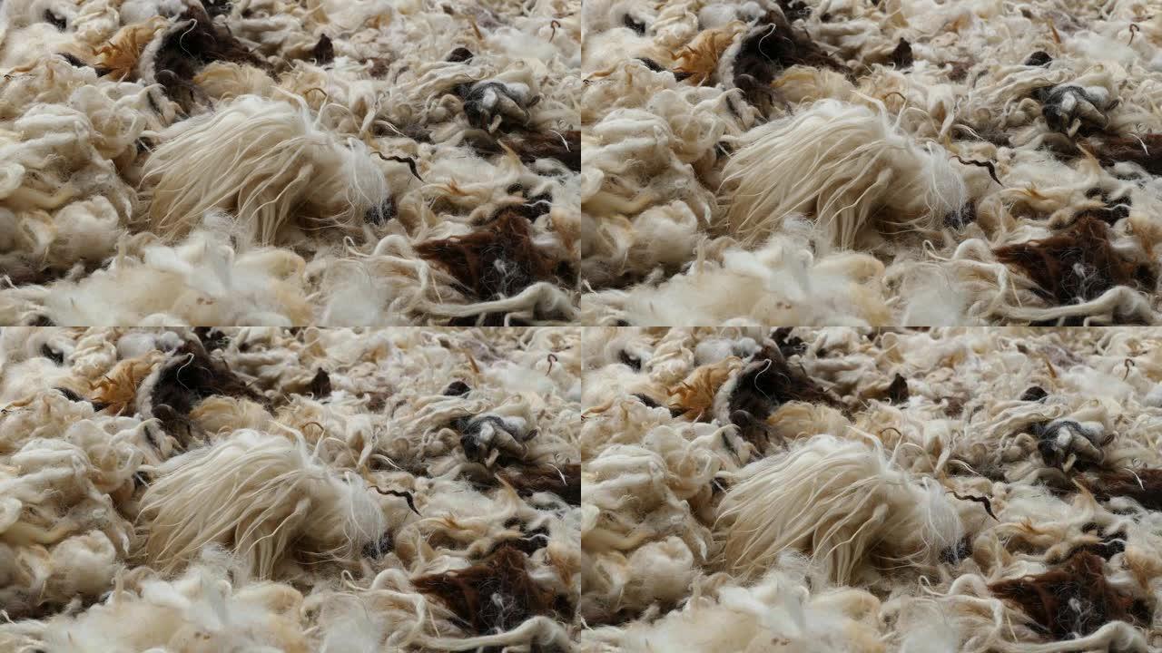 羊毛，洗干净的羊毛，制作羊毛的垫子和被子，