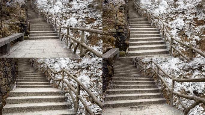 黄山4k步联合国教科文组织世界遗产国家公园冬季与雪和片状松树，黄山，中国