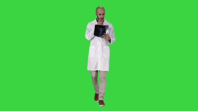 医生在绿色屏幕上行走时检查肺部射线照相，色度键