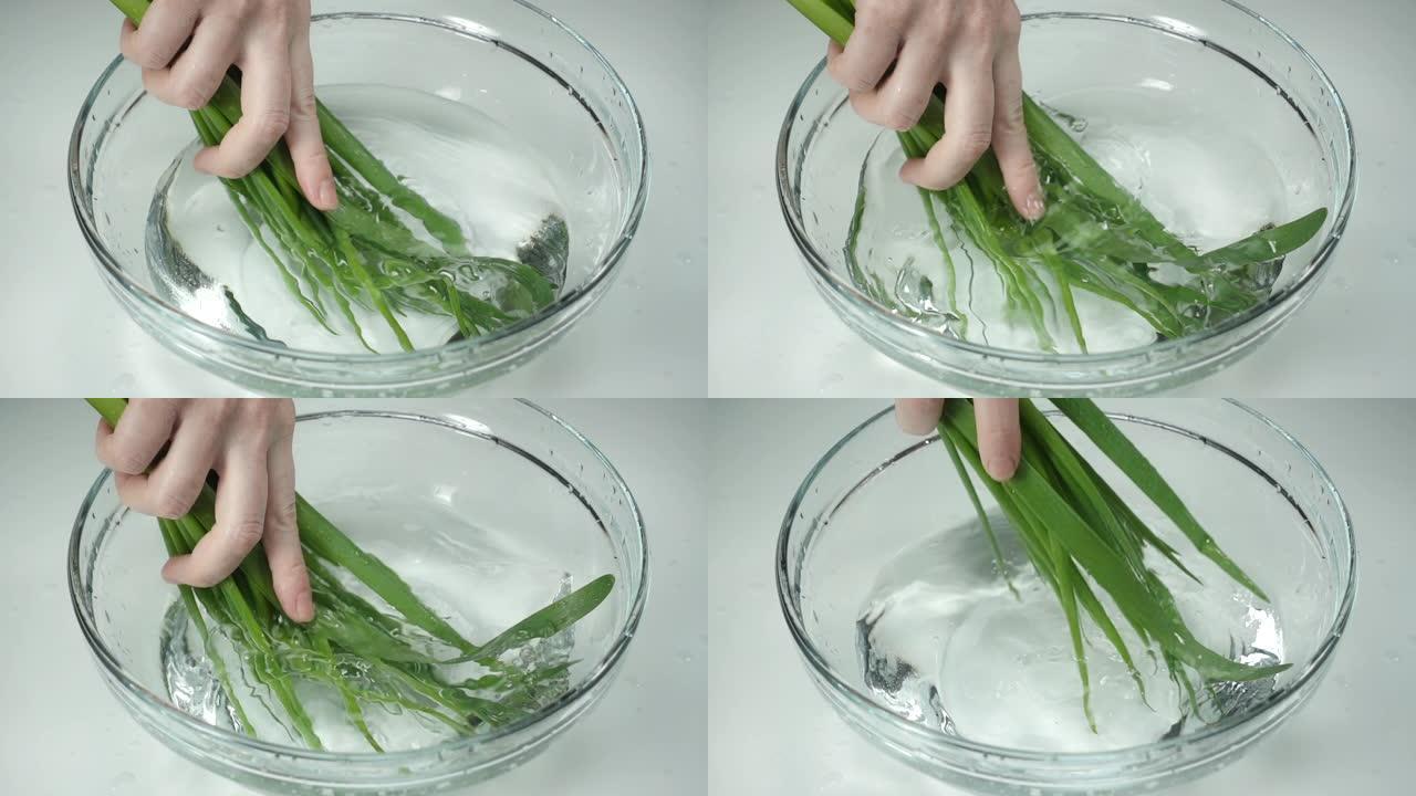 慢动作，女人手里的一串葱。女性用清水在碗里洗手葱