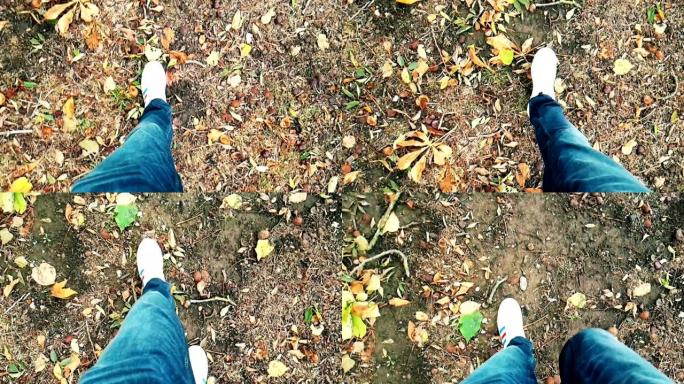 白色运动鞋鞋的特写镜头男人走在彩色秋叶地毯上的俯视图
