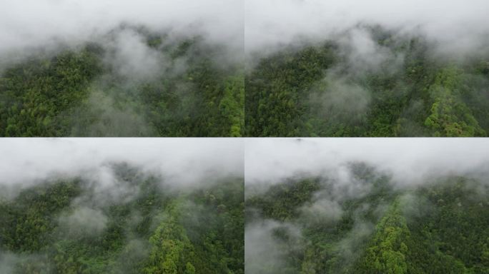 深山云雾缭绕   雨中航拍俯瞰大地山脉