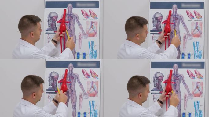 外科静脉血管外科诊所的静脉医生在海报上展示了人类血管系统