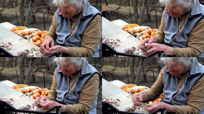 一位白发苍苍的老妇人在做饭或在街上的地面上种植之前，先捡起大蒜并清洗大蒜，在一个古老的农场上生活，自