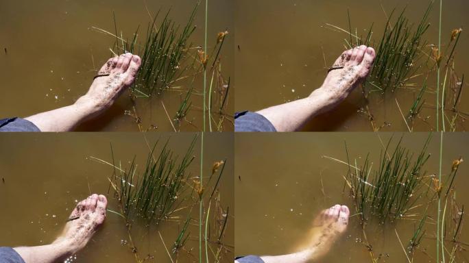 自然水蛭疗法，人们在湖里做水蛭疗法，