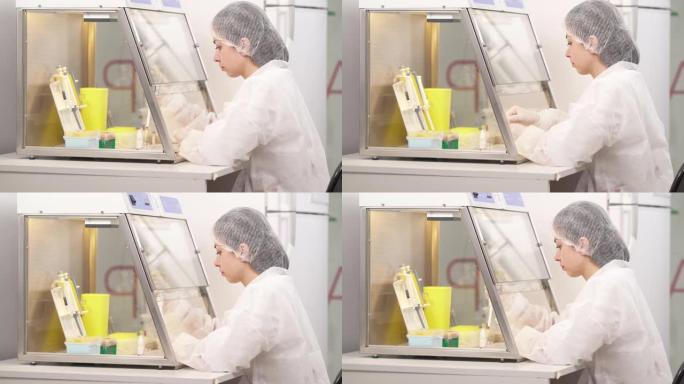 医学实验室科学家在层流柜中进行微生物试验的侧视图。科学保健研究理念