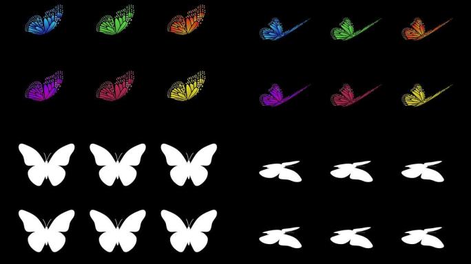 不同视图类型彩色蝴蝶拍打翅膀动画集阿尔法哑光5秒无缝循环