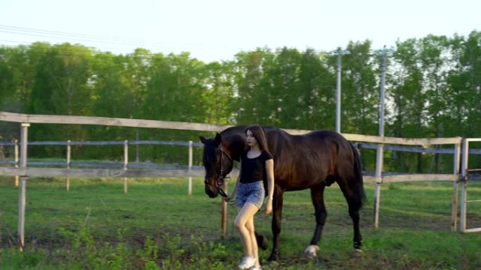 一个穿着黑色t恤和牛仔短裤的年轻苗条黑发女人牵着一匹深棕色的马。