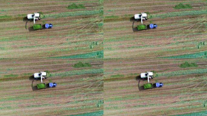 联合收割机在日落时收割农业的鸟瞰图。夏天。耕地中的农业设备