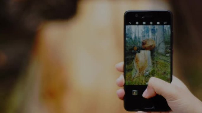 4k特写视频拍摄女性手在手机上拍摄树根