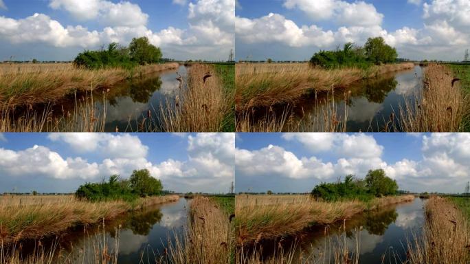 比利时法兰德斯，乡村春天风景: polder典型的水渠