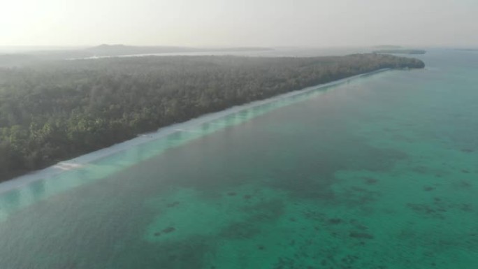 空中: 未受污染的海岸线热带海滩加勒比海珊瑚礁