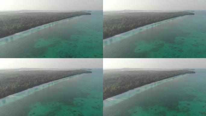 空中: 未受污染的海岸线热带海滩加勒比海珊瑚礁