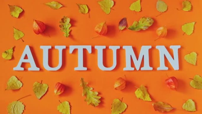 秋季作文。白色字母和闪烁明亮的秋天在橙色纸背景上的植物标本室。概念你好秋天。创意俯视图平铺