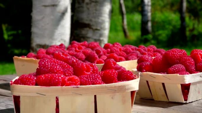 柳条筐里有成熟的红树莓