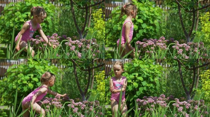 小女孩在花上抓蝴蝶