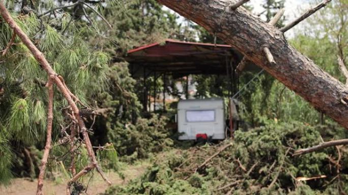 暴风雨过后的断树和背景中的汽车之家