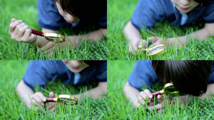 青春期前的孩子，男孩，用放大镜探索，看着草丛中的瓢虫